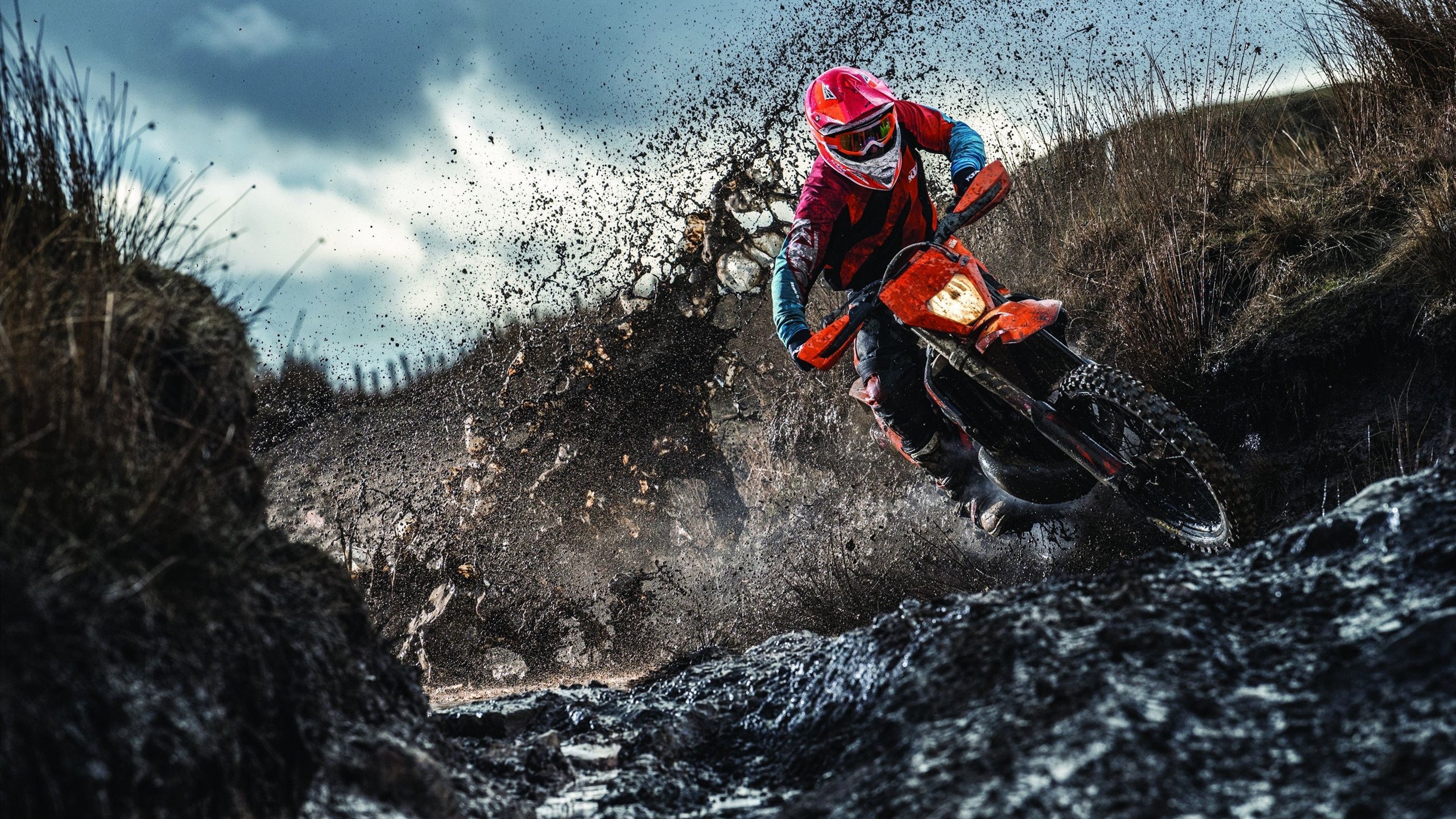 综合格斗赛场焦点！德国队对阵法国队，激战正酣，豪门对决再度上演